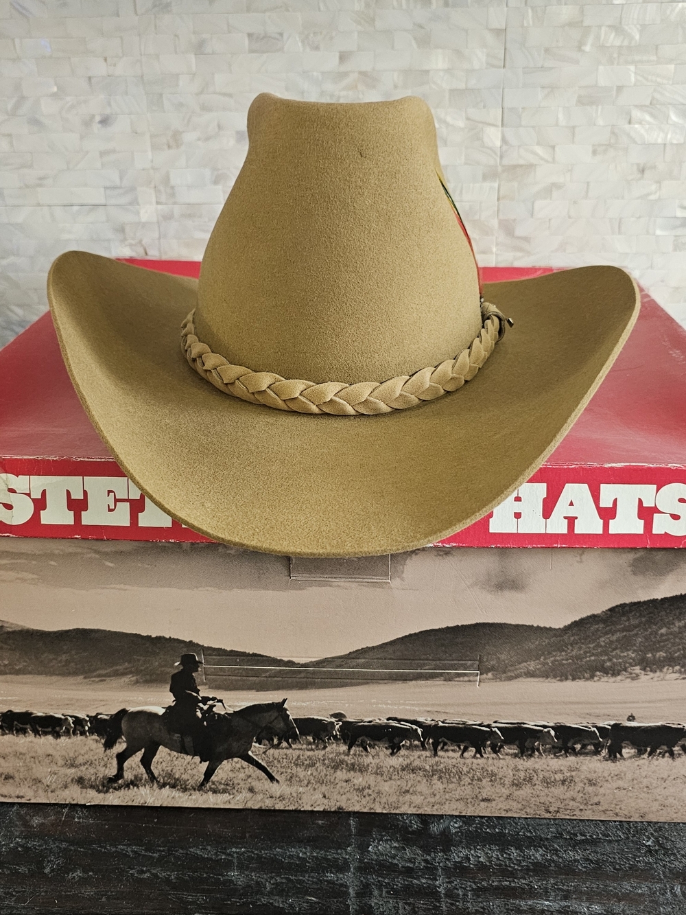 Stetson Hat 4X Camel 🐪 Color size 7 1/4 leather Braided Hatband
